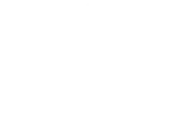 Deloitte Fast 500